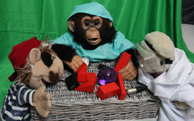 A pirate puppet, a chimpanzee in scrubs and a teddy bear in safety goggles and lab coat study wooden blocks, a purple lucite ball and various small cables and electronics on a small wicker table.