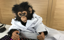 A chimpanzee in a white coat types at a keyboard lit by glowing LEDs.