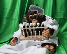 A chimpanzee in a lab coat and goggles holds a beaker and flask next to a rack of test tubes.