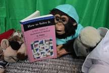 A monkey in nurse's scrubs reads Polya's 'How to Solve It' while a bear and pirate look on.